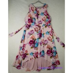 New! Shelby & Palmer‎ for ashley stewart floral print maxi dress, size  22W